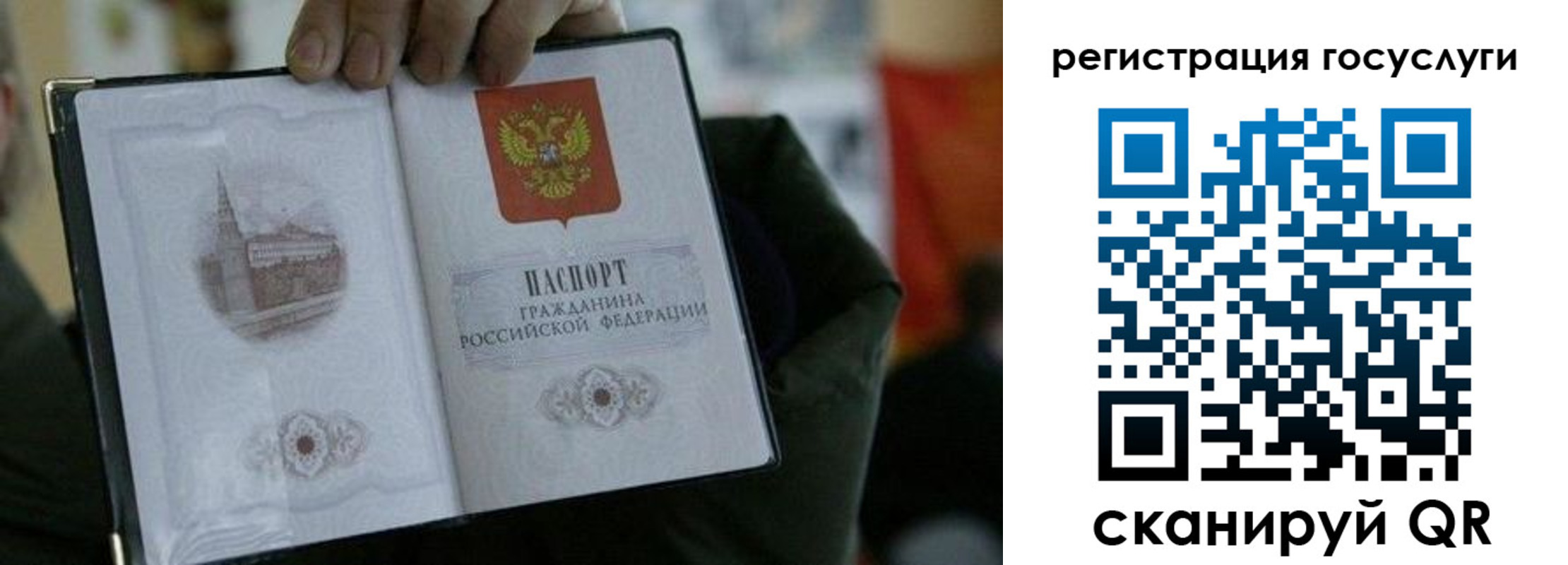 регистрация для школы в Гусь-Хрустальном